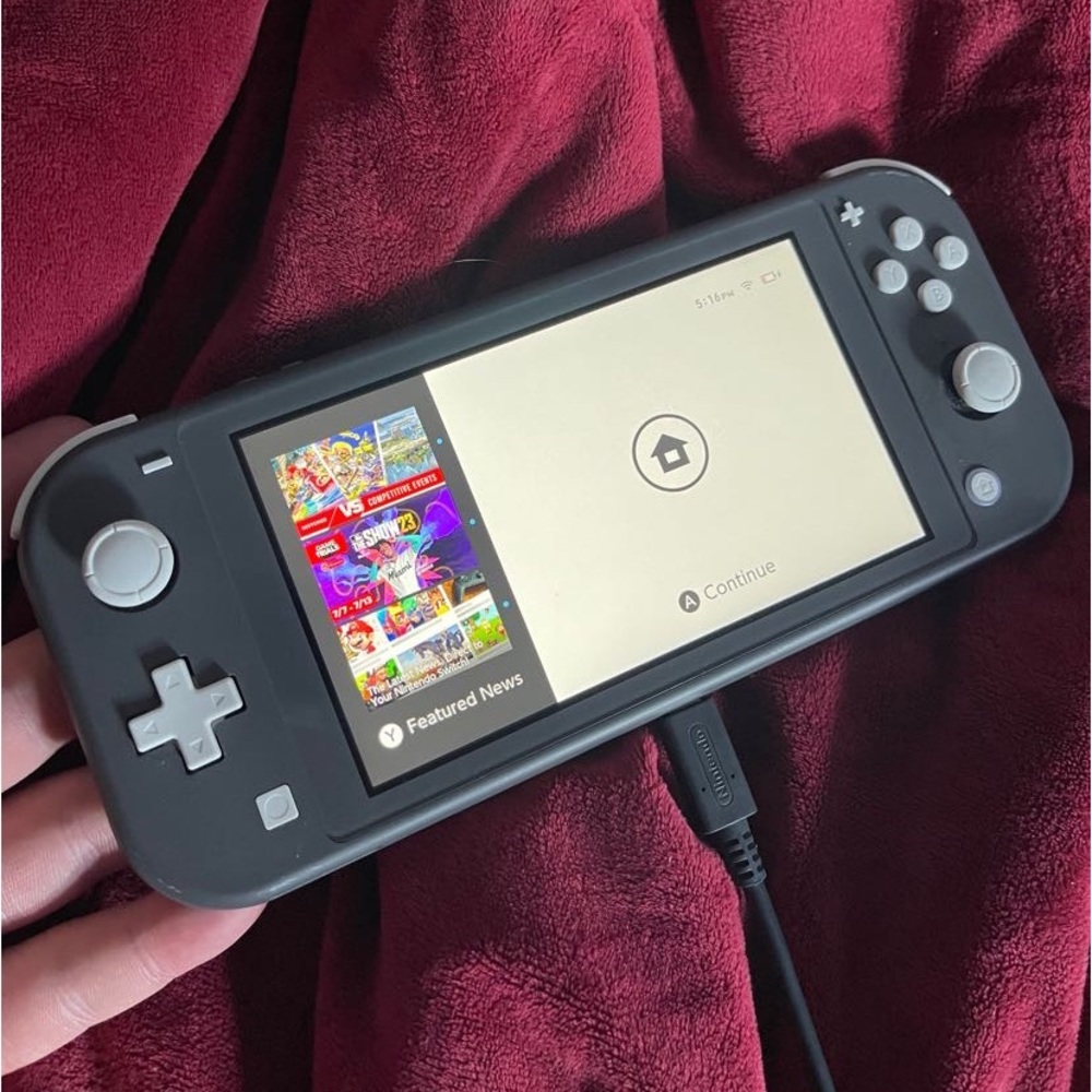 Nintendo switch